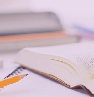 目指せる資格について